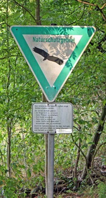 Image -