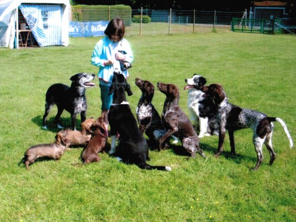 Image - Schnueffelschnauzen
