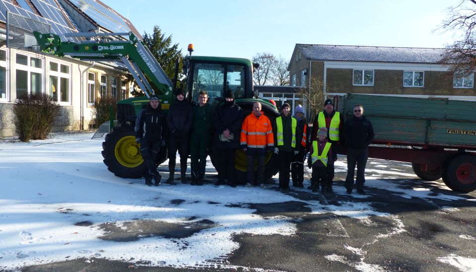 Image - Tannenbaumaktion - Jung und Alt, alle sind gefragt!