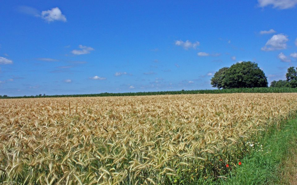 Image - Landwirtschaft im Nebenerwerb