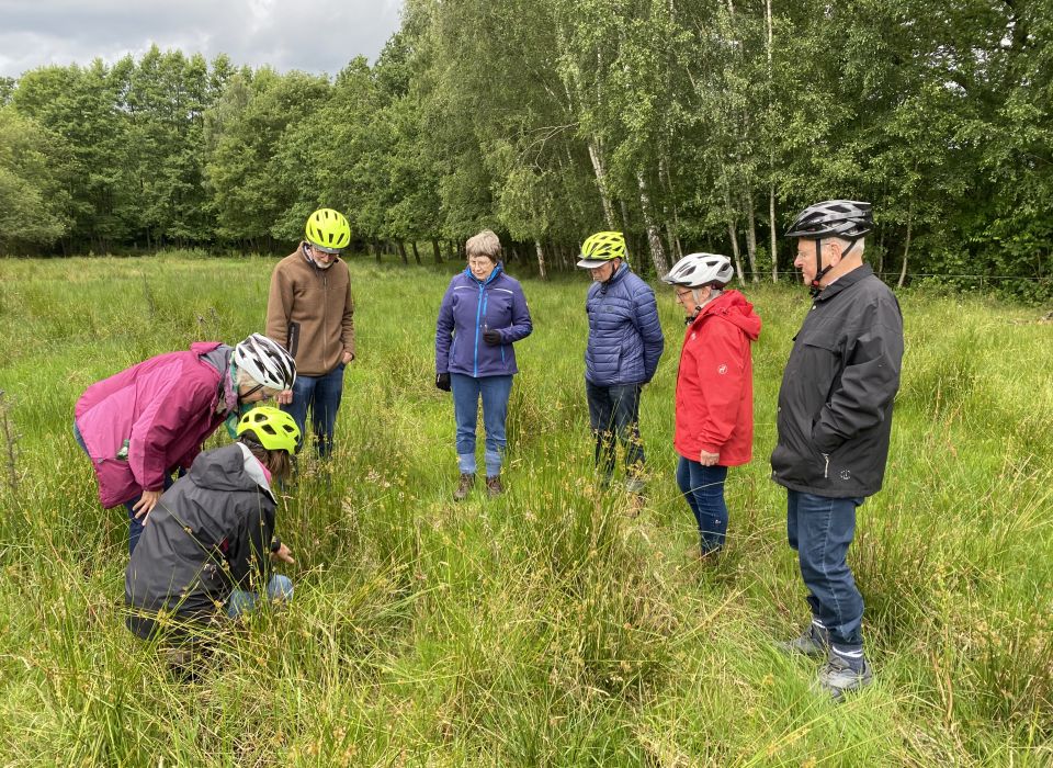 Image - Verborgene Raritäten in Roddes Natur